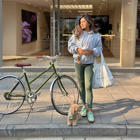 10 Surprising Benefits of Walking Your Dog Regularly