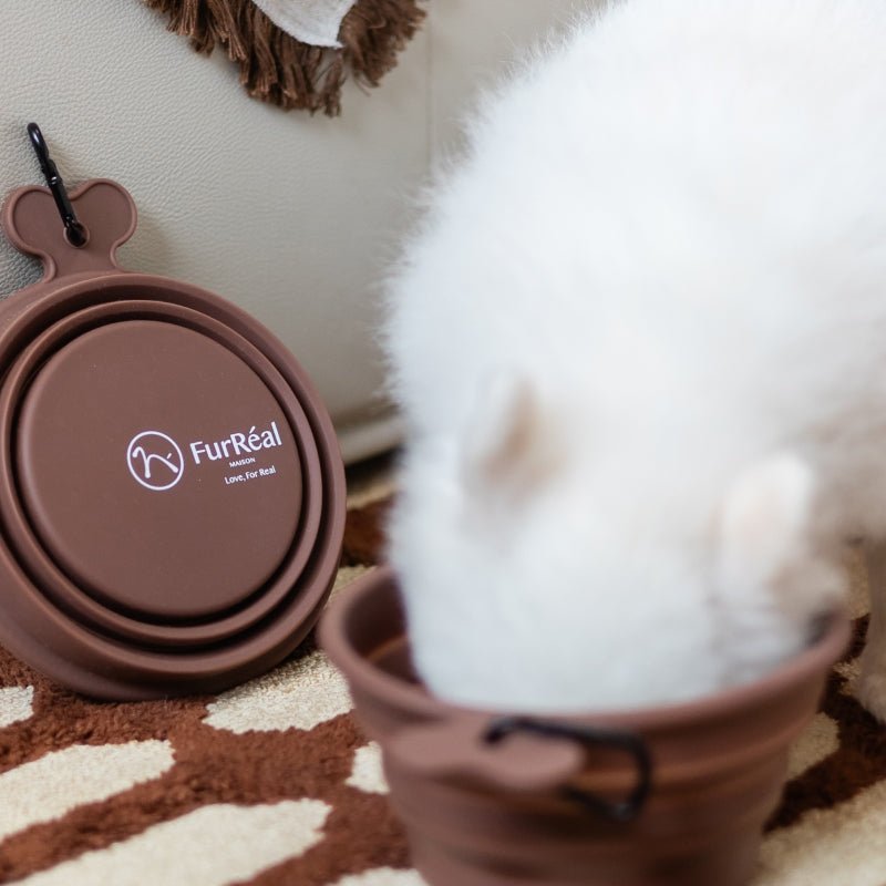 Collapsible Pet Water Bowl-Silicone