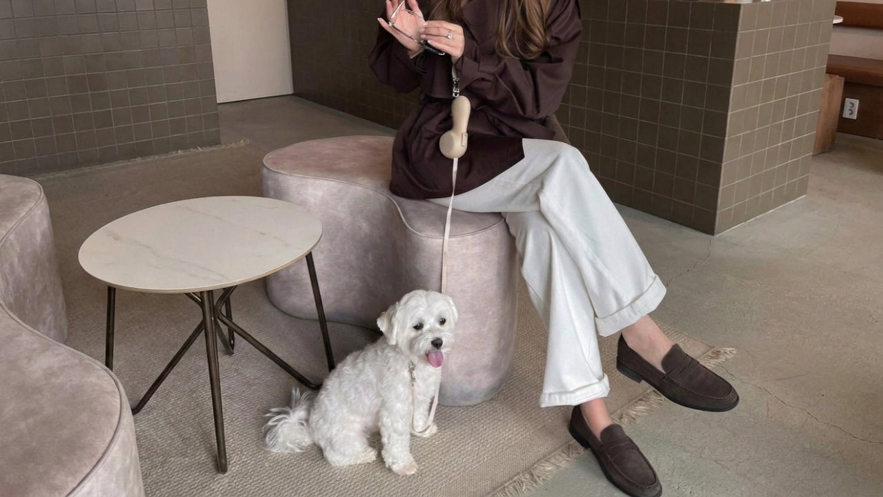 The Best Dog Leash for City Walks, Coffee Stops, and Everyday Errands