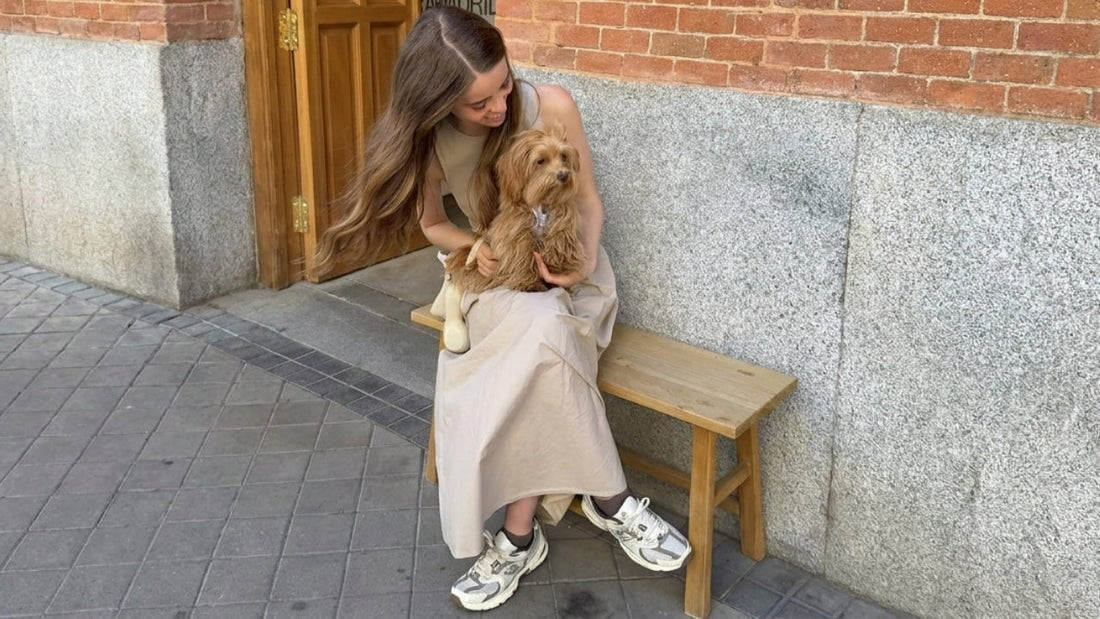 New Puppy Spring Routine: Daily Walks, Early Training, and the Right Leash