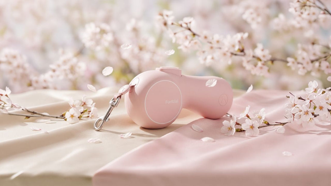 Meet Soft Blush: The Elegant New Shade for Spring Into Summer
