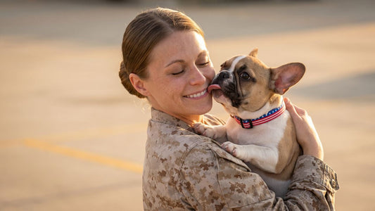 Memorial Day Weekend With Your Dog: What to Pack for Easy, Stylish Outings