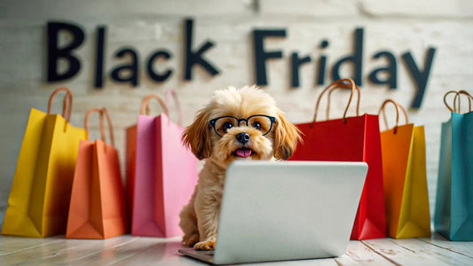 Top 5 Dog Accessories to Buy This Black Friday ChocoLéash Leads the Pack