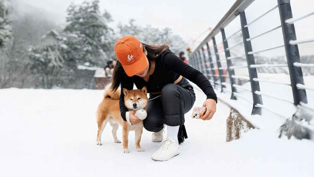 ChocoLéash Power Bank Leash - The Best Dog Leash Gift for Cyber Monday