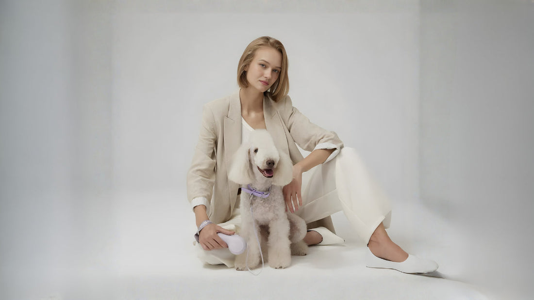 Top Winter Essentials for Pet Owners