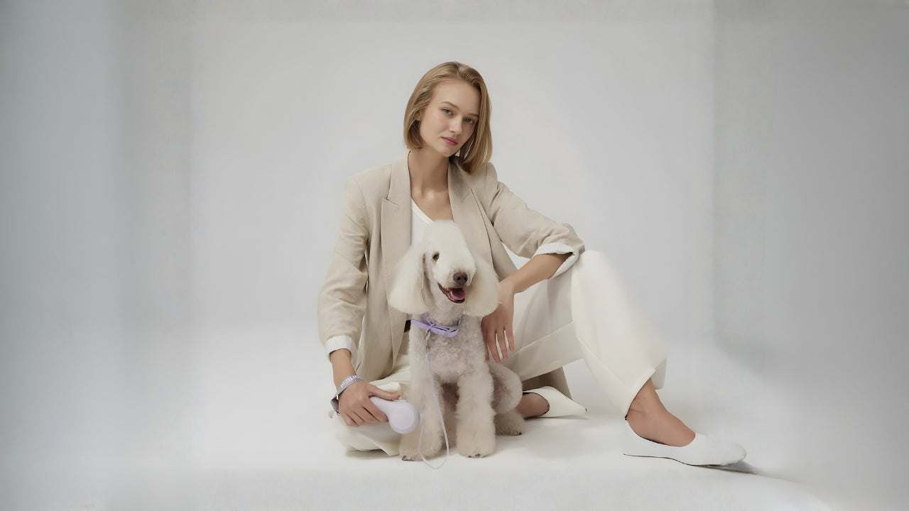 Top Winter Essentials for Pet Owners