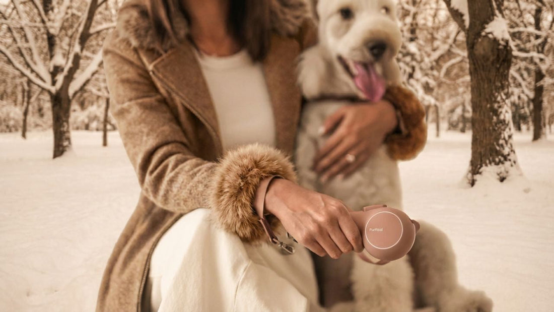 Are Power Bank Dog Leashes Worth It? Pros, Cons, and What to Look For (2026)