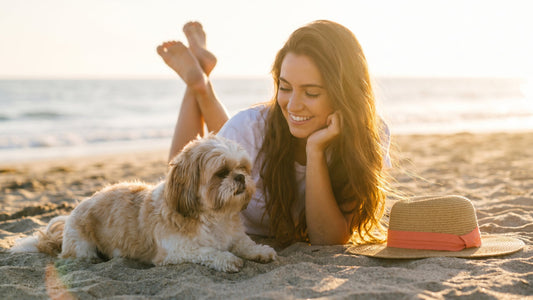Dog-Friendly Summer Vacation Tips for First-Time Pet Travelers