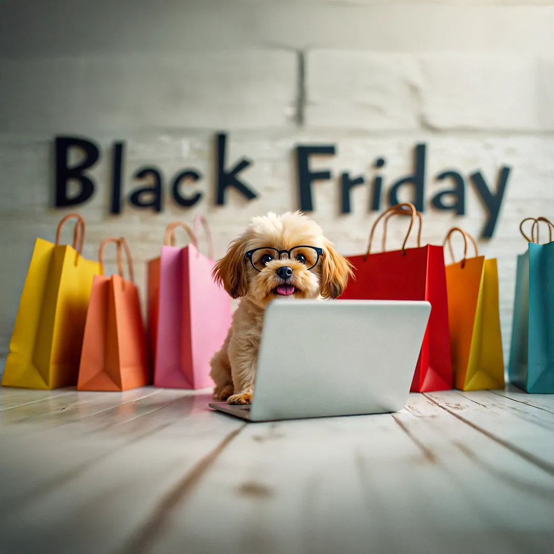 Top 5 Dog Accessories to Buy This Black Friday ChocoLéash Leads the Pack