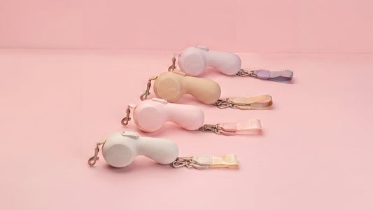 How to Choose the Best Dog Leash Color for Your Style