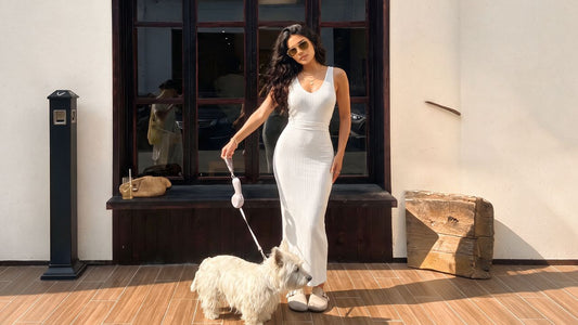 The Best Dog Walking Accessories for Late Summer