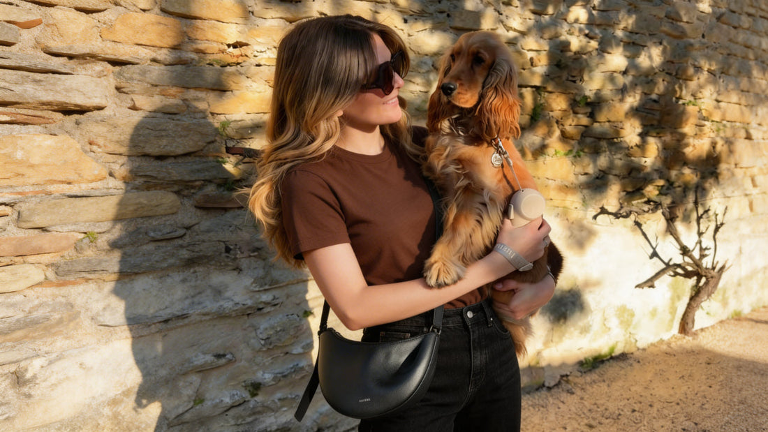 How to Choose a Stylish Dog Leash for Spring and Summer City Looks