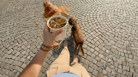 Mocha in One Hand: How to Walk Hands-Free Without the Juggle