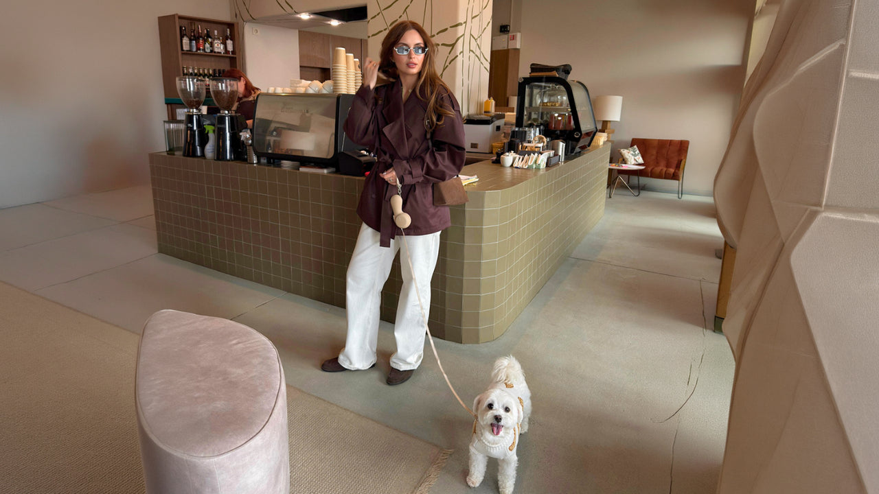 Stay Out Longer: Why Modern Dog Parents Need More Than a Basic Leash