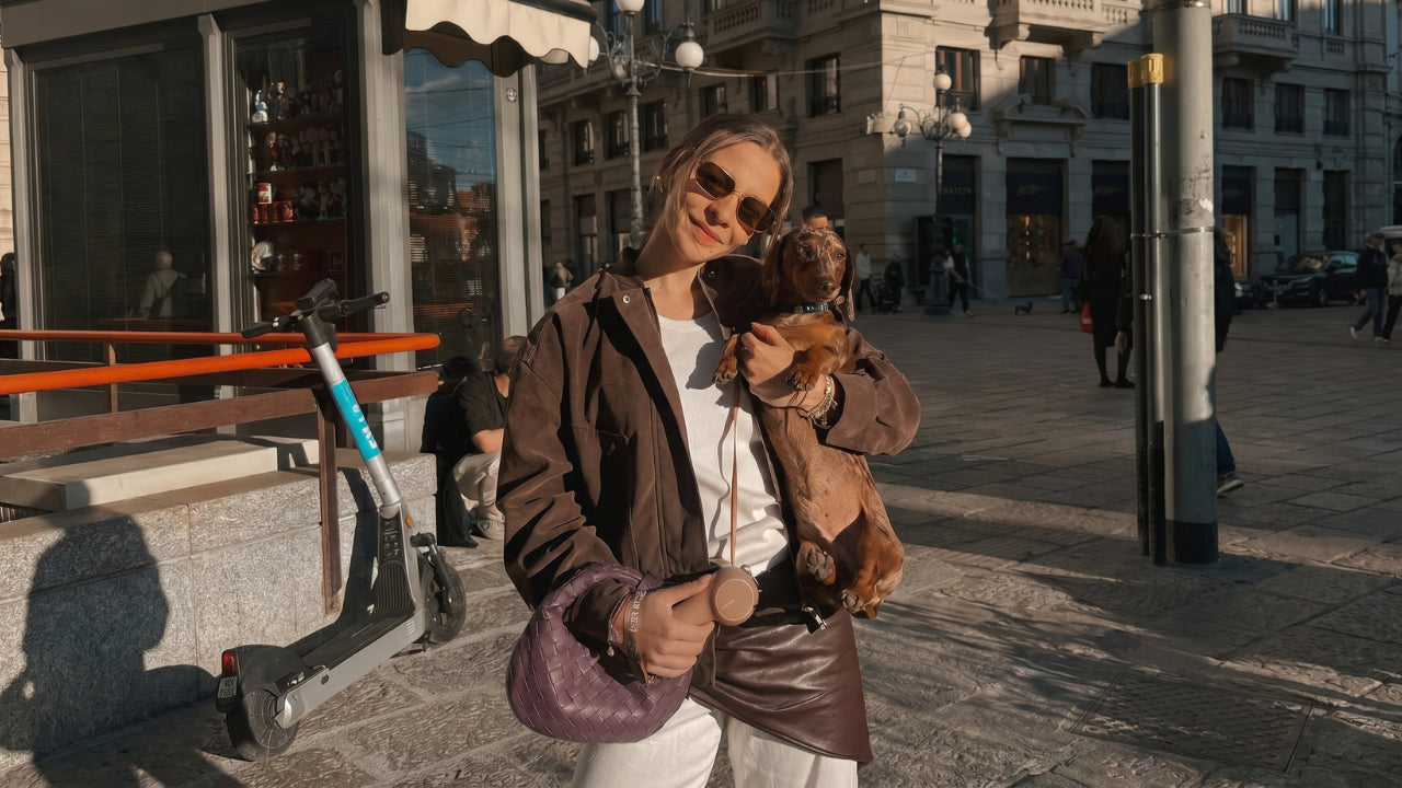 Summer Dog Walking Essentials for Modern City Dog Owners