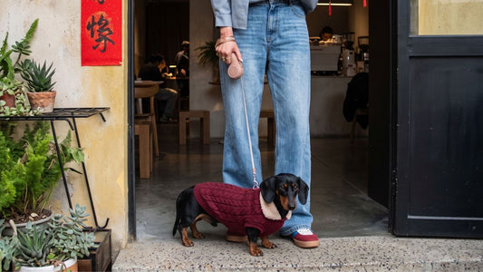 The After Dark Walk Edit: Shorter Days, Smarter Details