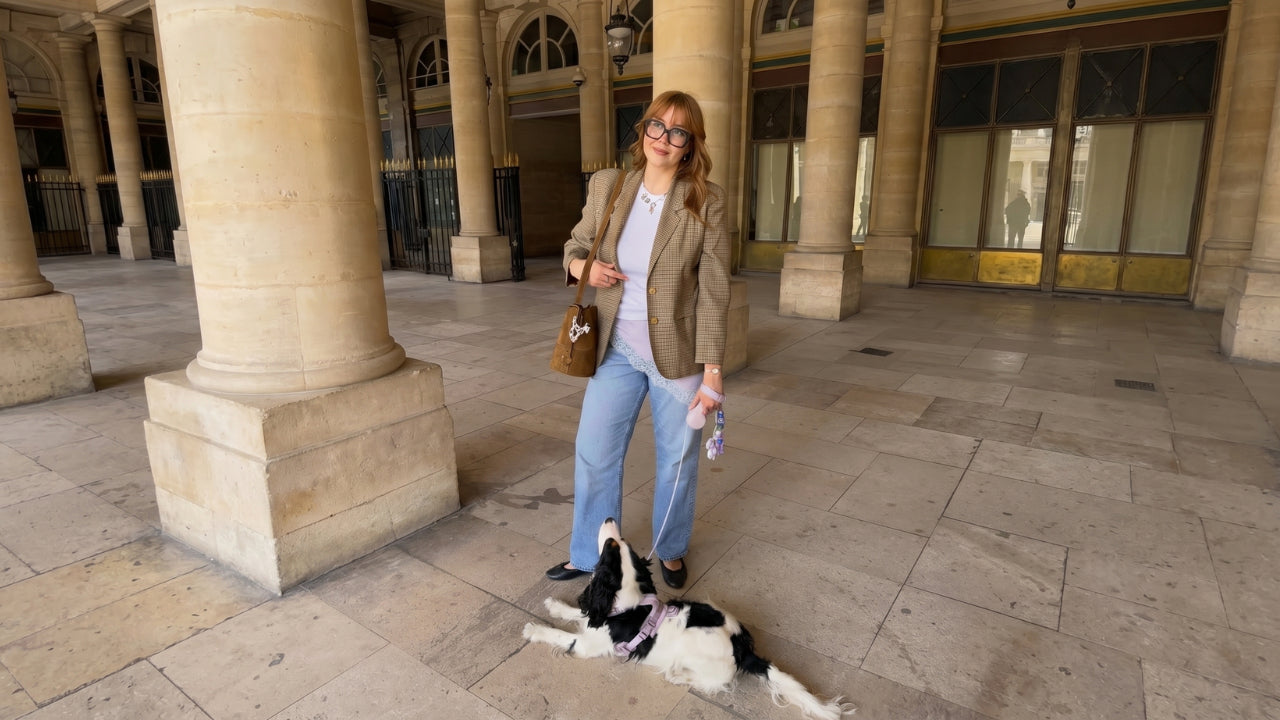 The Ultimate Small Dog Summer Outing Checklist