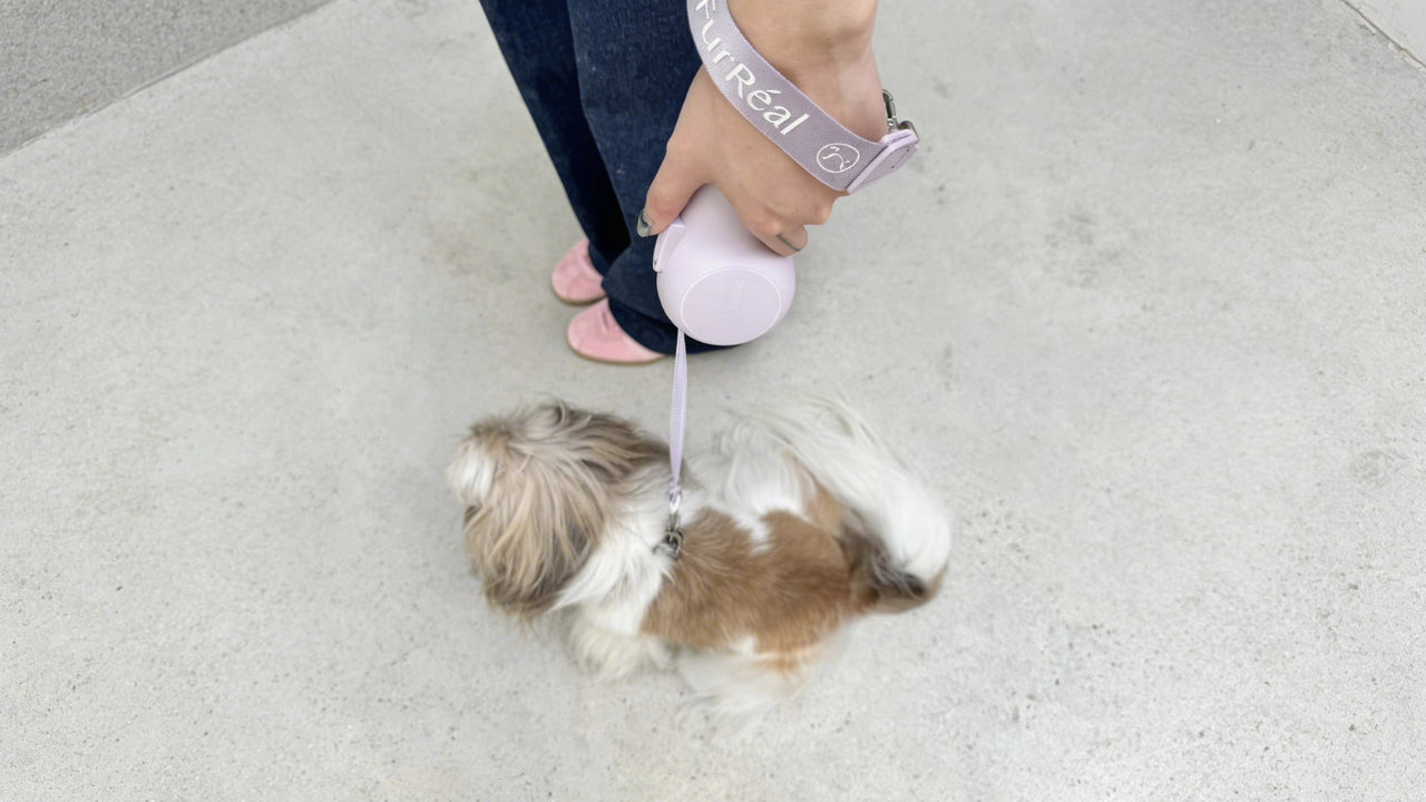 Lila Purple Is Back: The Stylish Hands-Free Dog Leash Color for Spring Walks