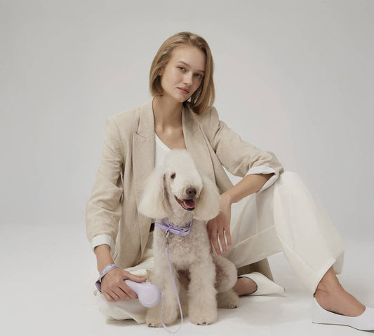 Top Winter Essentials for Pet Owners