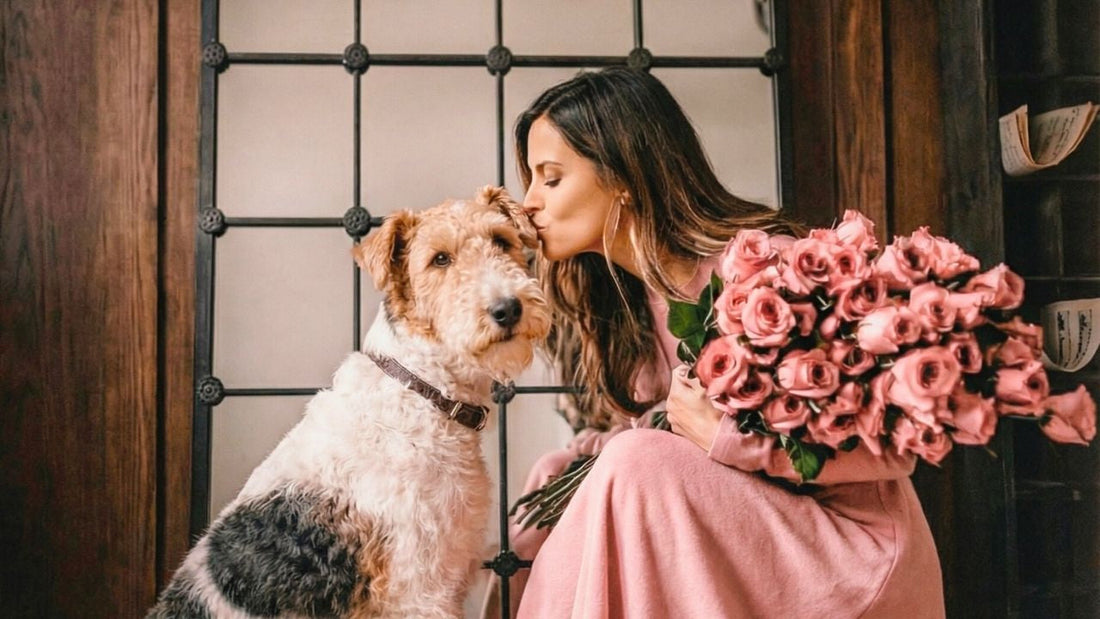 Valentine’s Day Gifts for Dog Moms & Dog Dads Who Have Everything (2026)