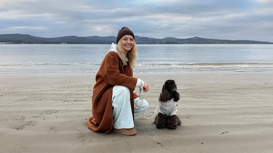 What Dog Parents Notice After Switching to Better Walk Gear