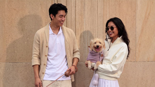 Why Everyone Keeps Asking About This Leash