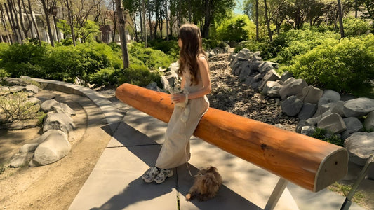 Why Hands-Free Dog Walking Is Perfect for Busy Mornings