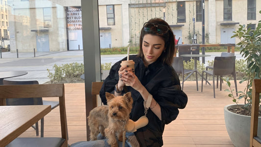 Why Hands-Free Dog Walking Makes Everyday Life Easier