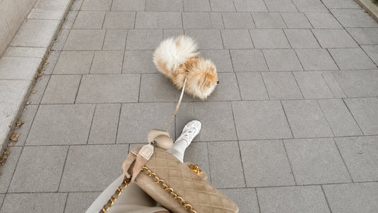 Why Hands-Free Dog Walking Matters More in Summer