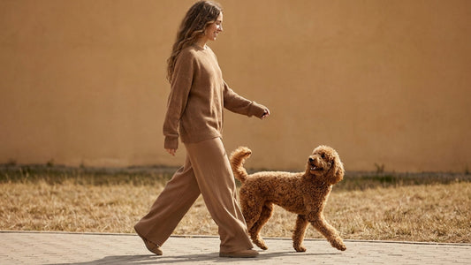 Dog Walk Routine Upgrades: 5 Everyday Habits Stylish Pet Parents Swear By
