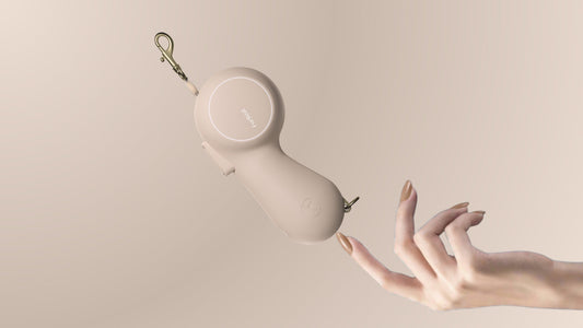 Why Some Dog Gear Is Worth Paying Full Price For (And What “Premium” Actually Means)