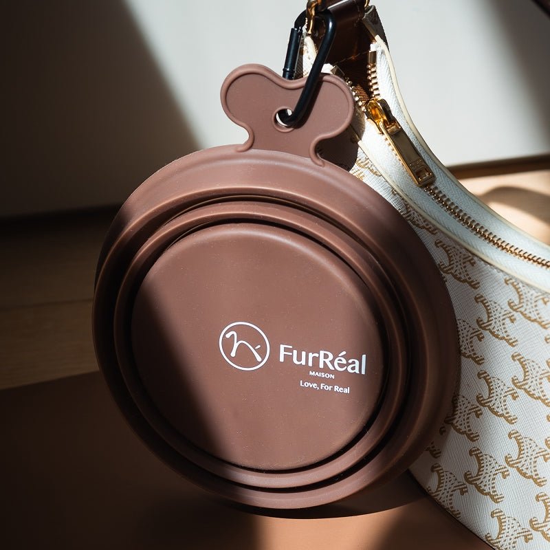 Collapsible Pet Water Bowl-Silicone
