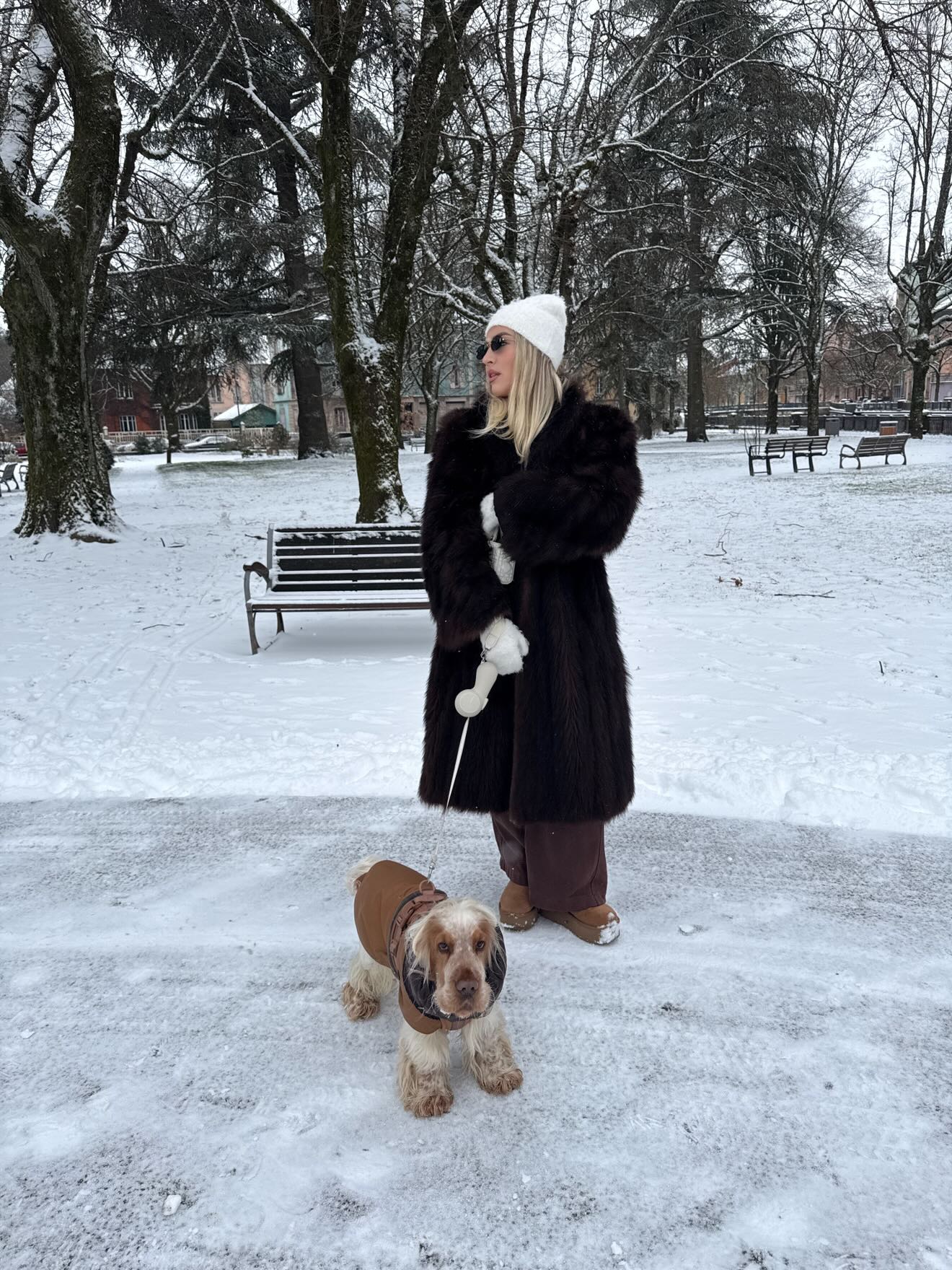 Smart Dog Leash with Built-In Hand Warmer ChocoLéash Flagship