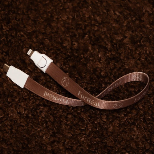 Charging Cable - TypeC