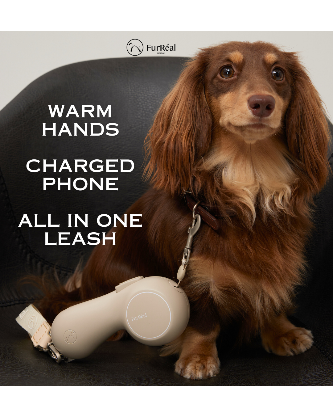 Smart Dog Leash with Built-In Hand Warmer ChocoLéash Flagship