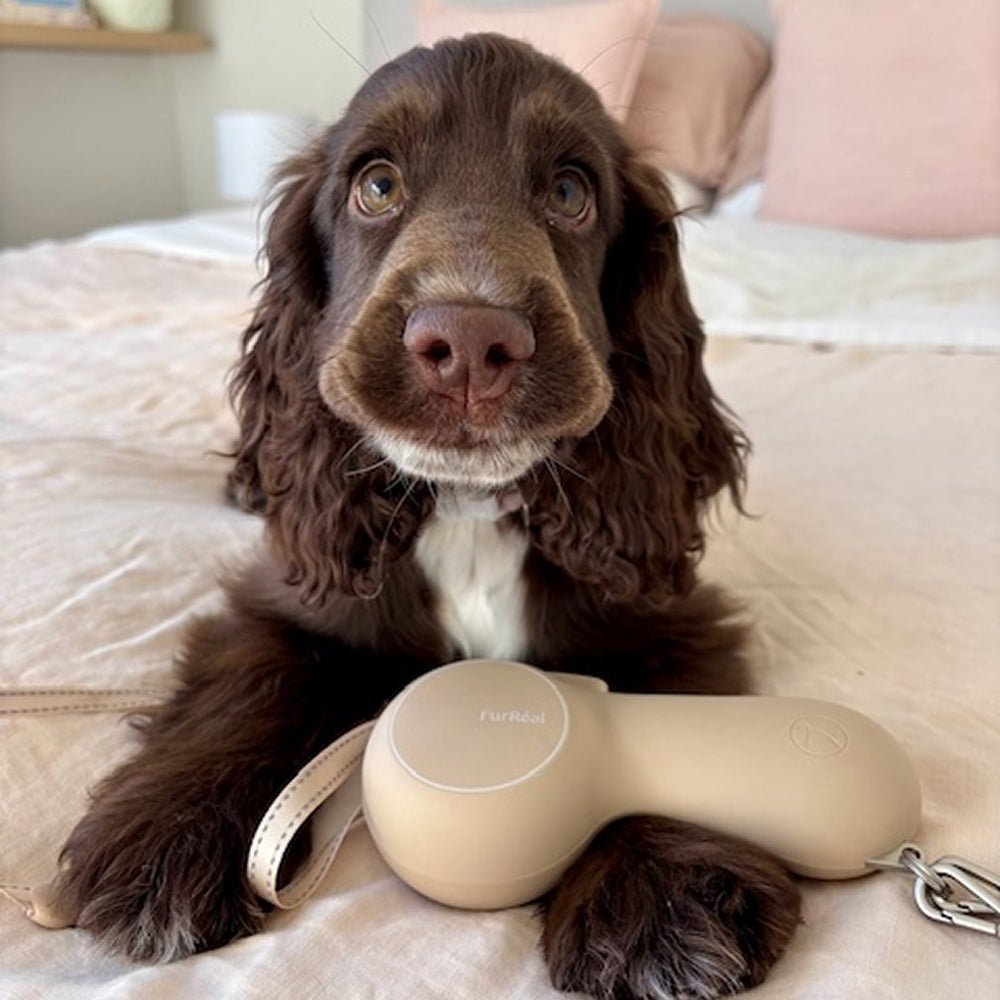 Hands-Free Lightweight Dog Leash for City Walks | FurRéal Maison