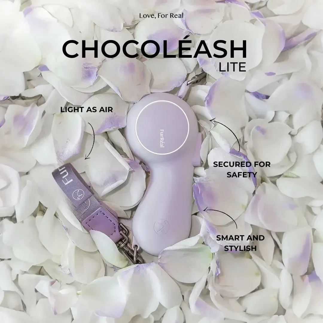 Stylish & Hands-free Dog Leash ChocoLéash Lite