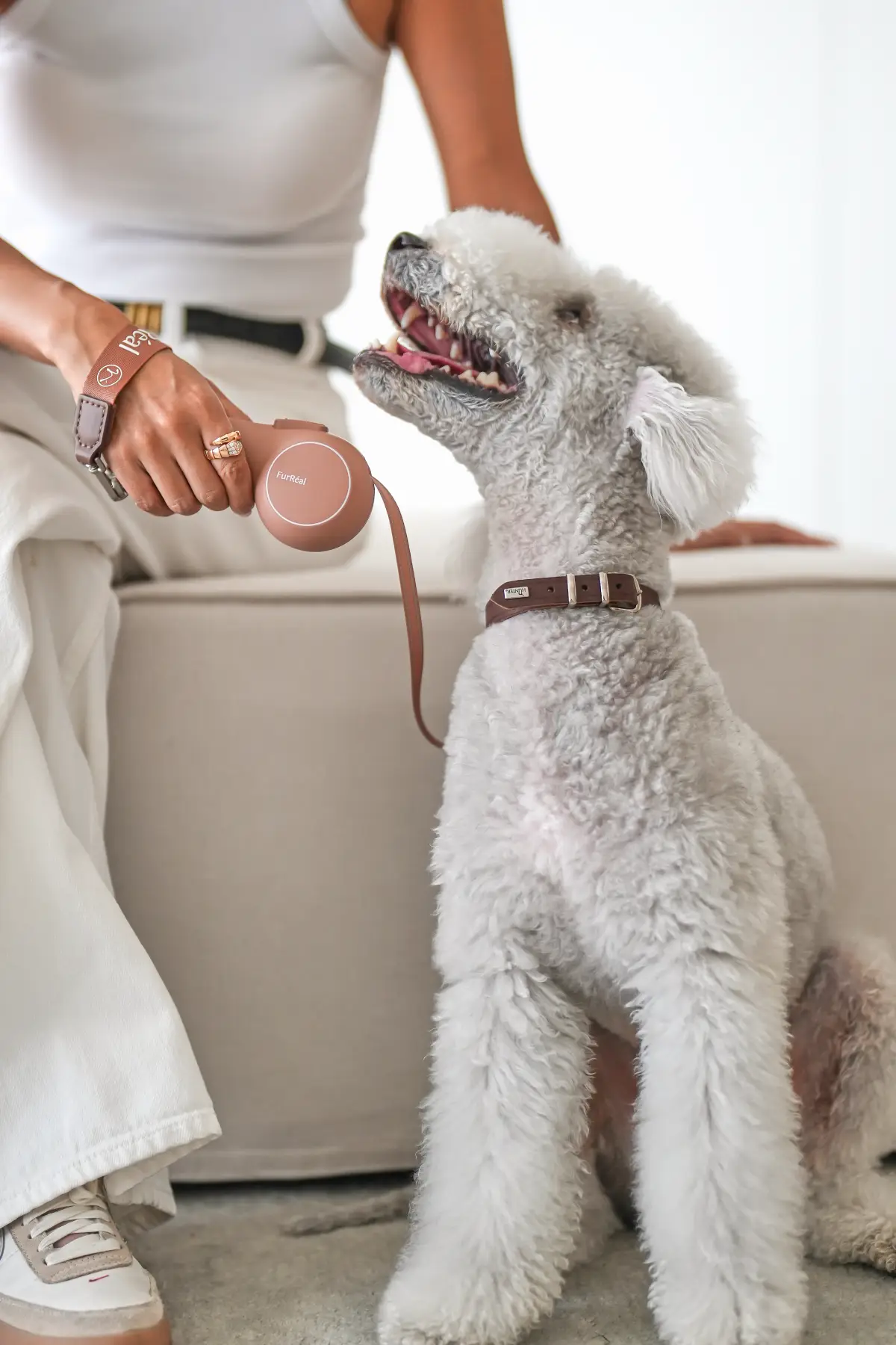 buy cute dog leash