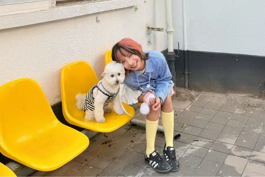 dog leash designer