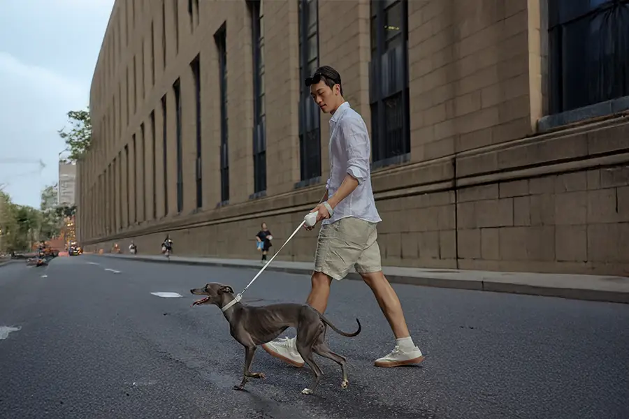 Perfect for the Modern Pet Parent Perfect for the Modern Pet Parent